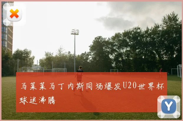 马莱莱马丁内斯同场爆发U20世界杯球迷沸腾