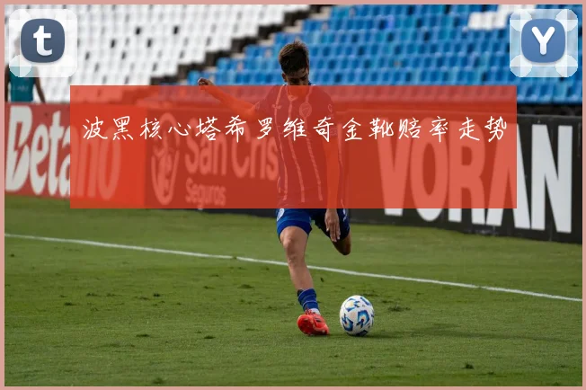波黑核心塔希罗维奇金靴赔率走势